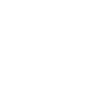 Burst Negócios